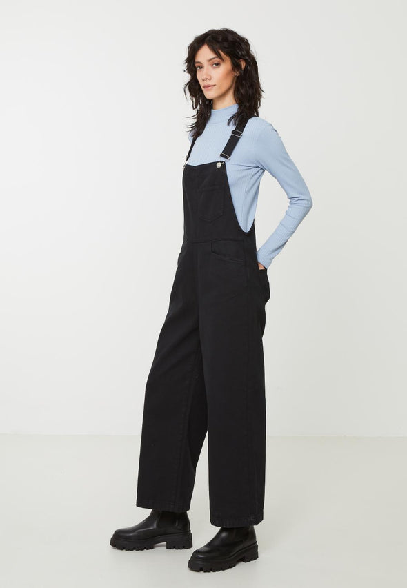 Overall Beaumontia recolution