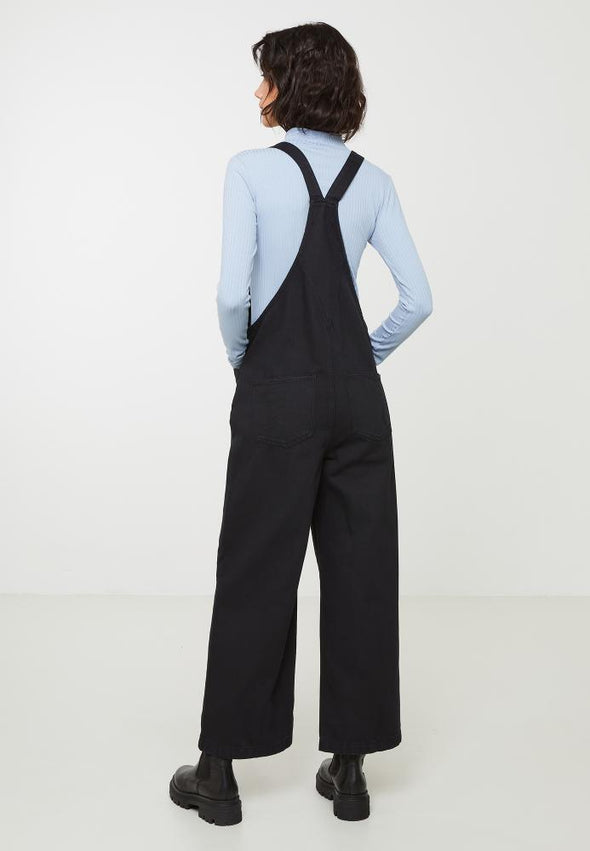 Overall Beaumontia recolution